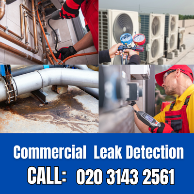 Commercial Leak Detection Services in Strawberry Hill | Strawberry Hill Leak Detection