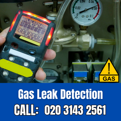 Expert Gas Leak Detection Services in Strawberry Hill | Strawberry Hill Leak Detection