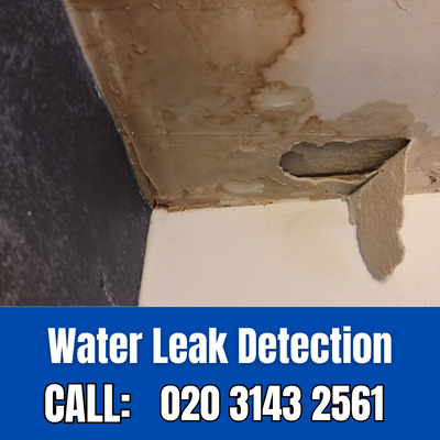 Expert Water Leak Detection Services in Strawberry Hill | Strawberry Hill Leak Detection